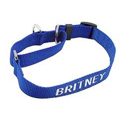 Martingale Collar - with Embroidery, - Lucky Pet